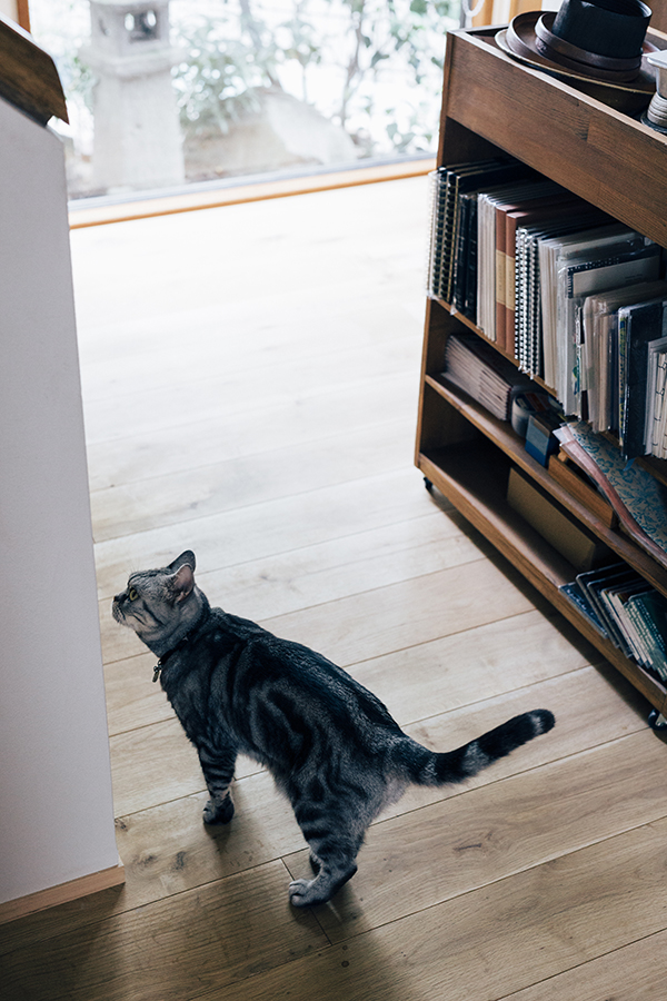 opt×無垢のフローリング⑤