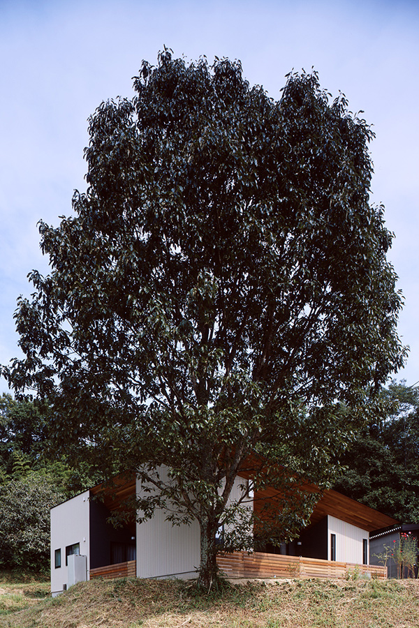 opt×SHDL施工実例②