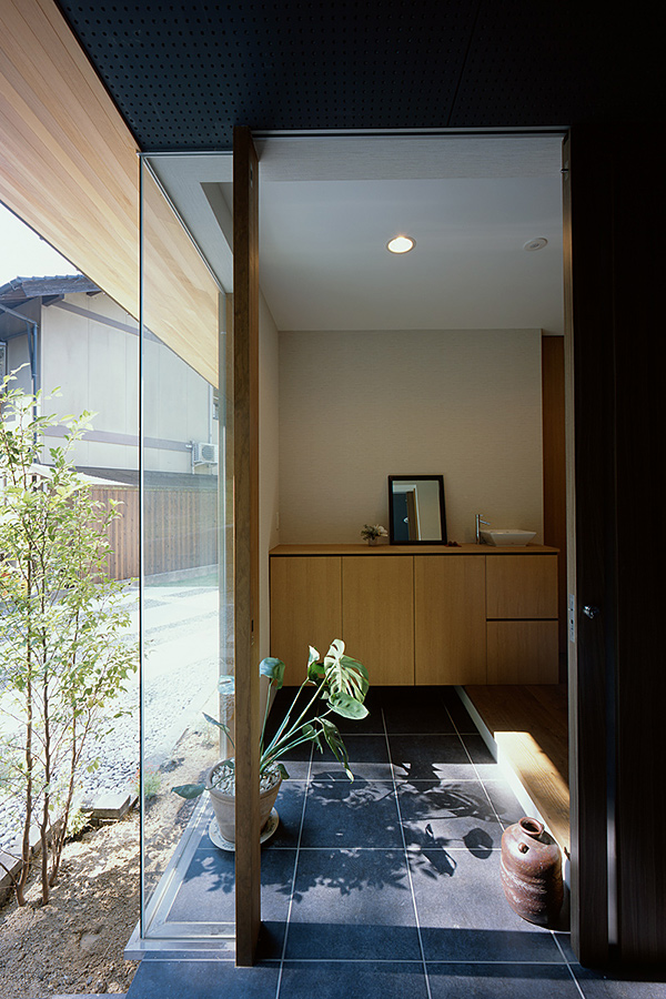 opt×観葉植物②