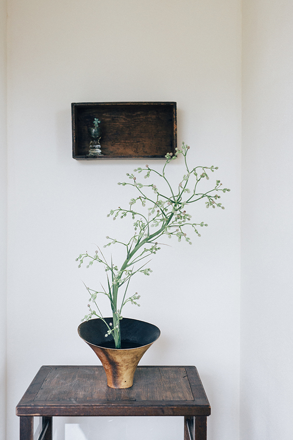 opt×観葉植物③