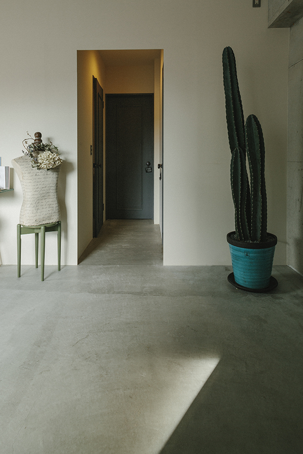 opt×観葉植物④